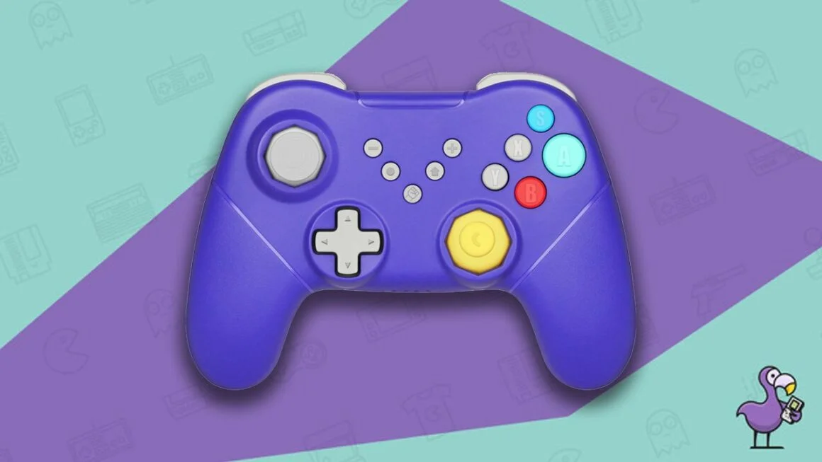 Melhores controladores de GameCube para Switch - Retro Fighters Duelist pad
